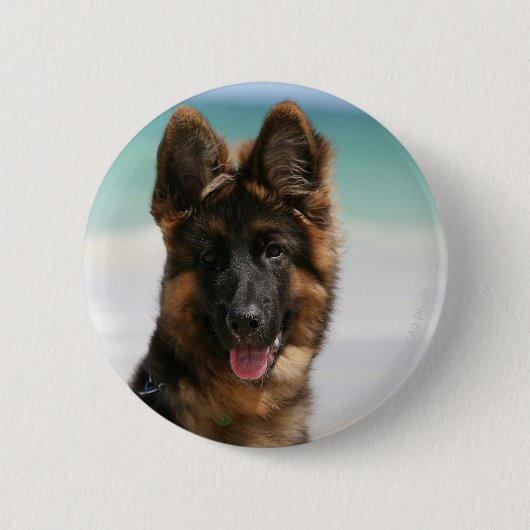 Long Hazard German Shepherd Beach Ronde Button 5,7 Cm (Voorkant)