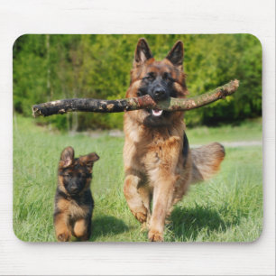 Long Hazard German Shepherd Dog and Puppy Muismat