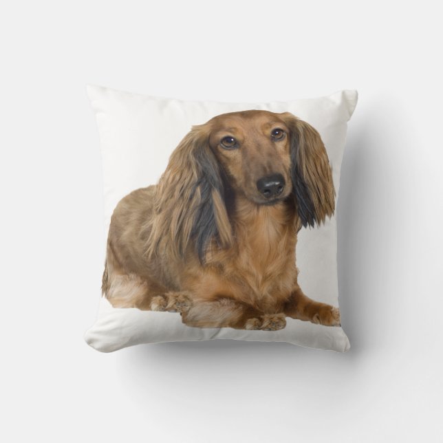 Long Hazard Gold Dachshund Pillow Kussen (Voorkant)