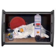 Long Hazard Tuxedo Cat