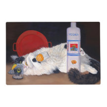 Long Hazard Tuxedo Cat