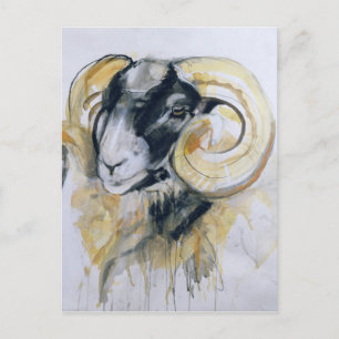 Long Horn Sheep Briefkaart