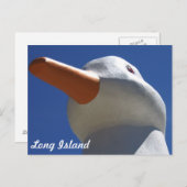 Long Island Duck 2 Briefkaart (Voorkant / Achterkant)