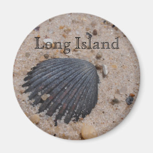 Long Island Scallop shell magnet Magneet