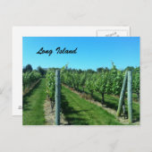 Long Island Vineyard Briefkaart (Voorkant / Achterkant)
