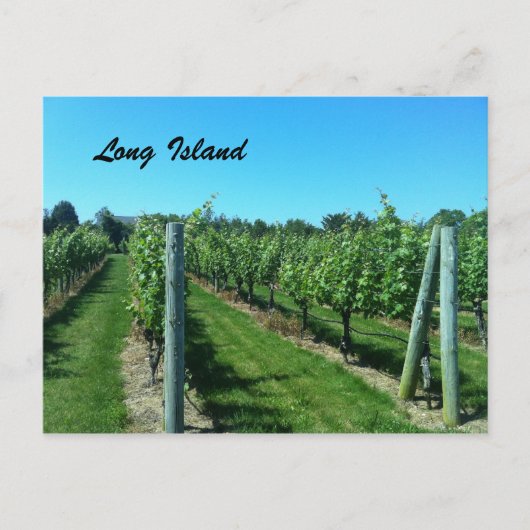 Long Island Vineyard Briefkaart (Voorkant)