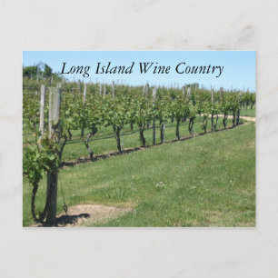 Long Island Wine Land Briefkaart