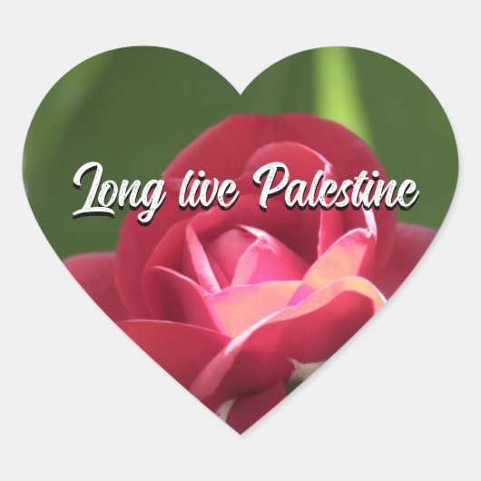 Long live Palestine rose vert coeur Autocollant (Devant)