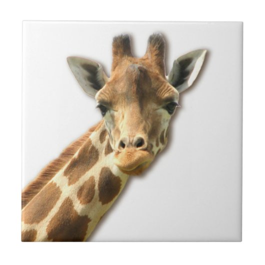 Long Necked Giraffe Tile Tegeltje (Voorkant)