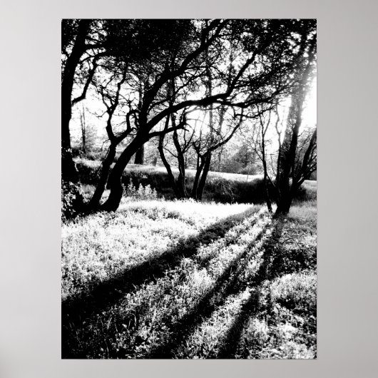 Long Shadows Black en White Poster (Voorkant)