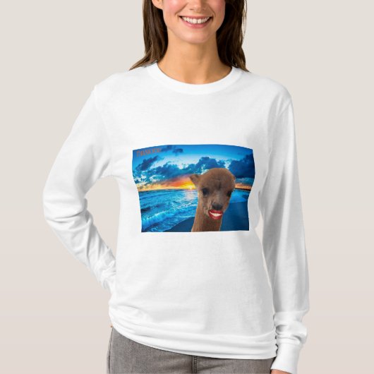 Long Sleeve Basic t-shirt Vrouwen (Voorkant)