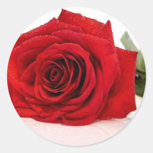 Long Stem Red Rose Stickers