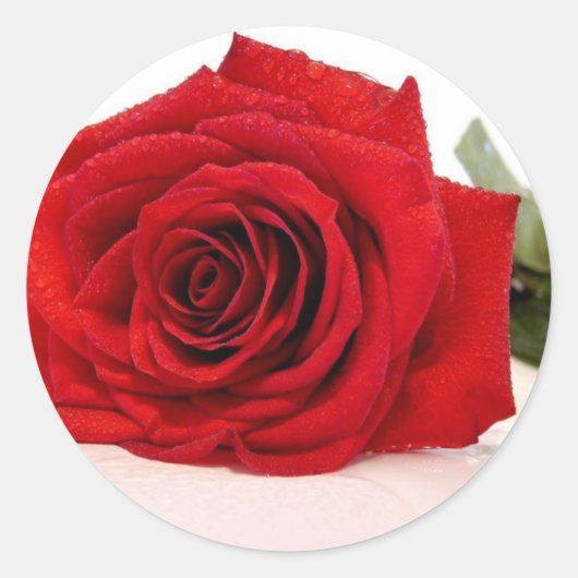 Long Stem Red Rose Stickers (Voorkant)