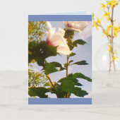 Long Stem White Roses Kaart (Gele Bloem)