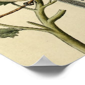 Long Tailing Chickadee Poster (Hoek)