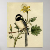 Long Tailing Chickadee Poster (Voorkant)