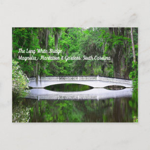 Long White Bridge Briefkaart