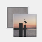 Longboat Key Pelikaan Magneet (Voorkant / Achterkant)