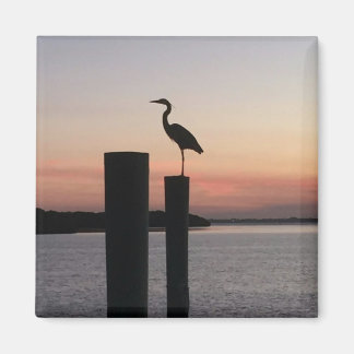 Longboat Key Pelikaan Magneet