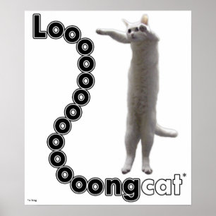 Longcat is lang poster
