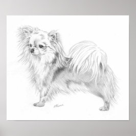 Longcoat Chihuahua Champion Poster