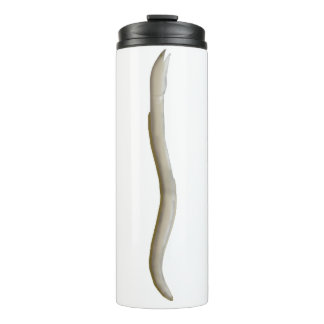 Longfin Snake-eel Thermosbeker