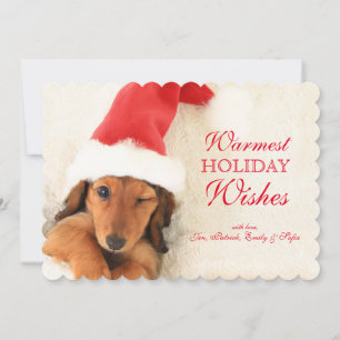 Longhair Dachshund Puppy Winking Feestdagenkaart