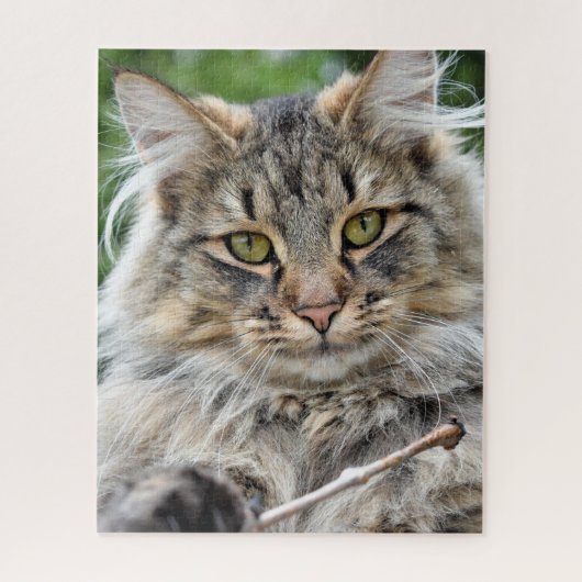 Longhair Tabby Cat Jigsaw Puzzle (Vertical)