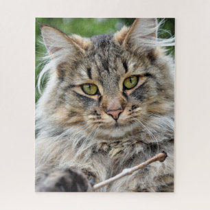 Longhair Tabby Cat Jigzaag Puzzle Legpuzzel