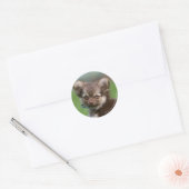 Longhaire Chihuahua Puppy die naar camera kijkt Ronde Sticker (Envelop)