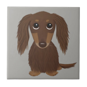 Longhaire Chocolate Brown Dachshund Tegeltje