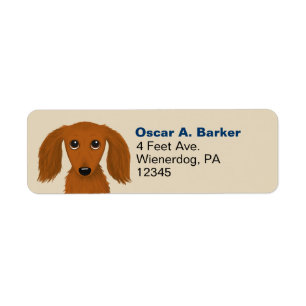 Longhaire Dachshund Adres Wiener Dog Etiket