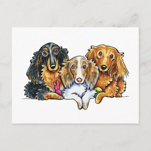 Longhaire Dachshund Trio Briefkaart (Voorkant)