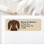 Longhaired chocolade Dachshund retouradres Etiket (Insitu)