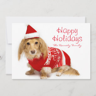 Longhaired tekkel die rode Kerstmis dragen Feestdagenkaart