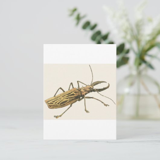 Longhorn Beetle Briefkaart (Staand voorkant)