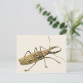 Longhorn Beetle Briefkaart (Staand voorkant)