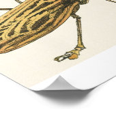 Longhorn Beetle Poster (Hoek)