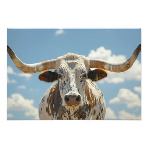 Longhorn Bull Foto Afdruk