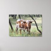 Longhorn Canvas Afdruk (Voorkant)