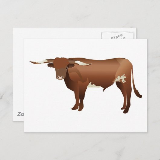 Longhorn Cattle Briefkaart (Voorkant / Achterkant)