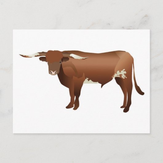 Longhorn Cattle Briefkaart (Voorkant)