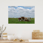 Longhorn Cattle in Kansas Poster (Keuken)