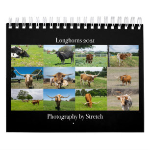 Longhorn Cattle Photography Calendar Kalender