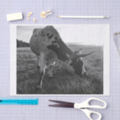 Longhorn Koe Zwart-wit Fotoprint Decoupage Tissuepapier (Craft)