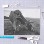Longhorn Koe Zwart-wit Fotoprint Decoupage Tissuepapier (Craft)