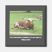 Longhorn Magnet Magneet (Voorkant)