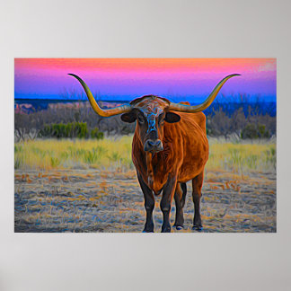 Longhorn op Sunset Poster