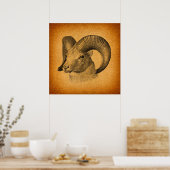 Longhorn Sheep Antiek Art Rustisch Sinaasappel Poster (Keuken)