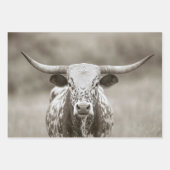 Longhorn Steer Cattle Decoupage Inpakpapier Vel (Voorkant)